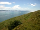 catlins (48)